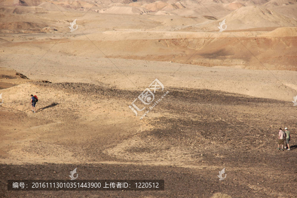 沙漠景觀