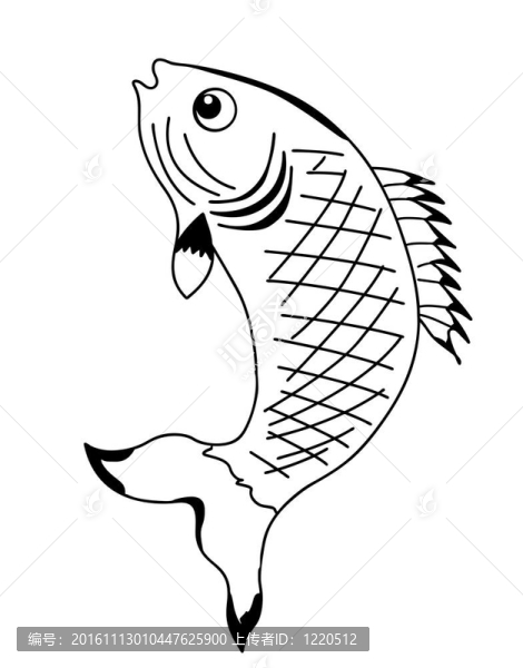 白色背景下的剪影魚