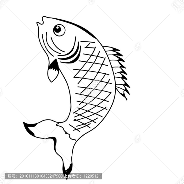 白色背景下的剪影魚