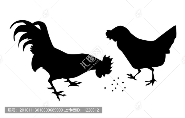 公雞與母雞的剪影