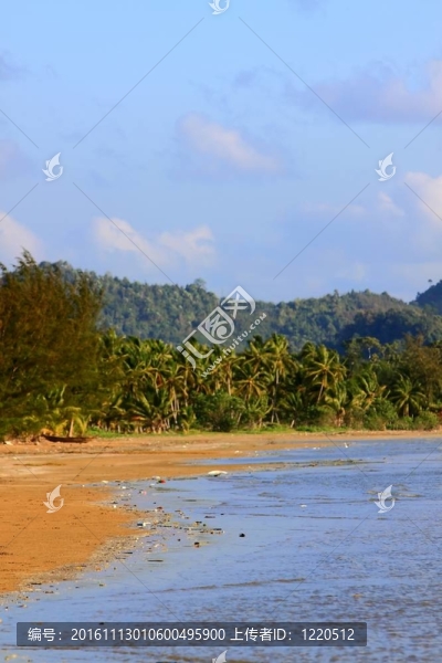 垃圾在Beach
