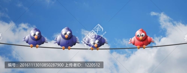 電線上的鳥