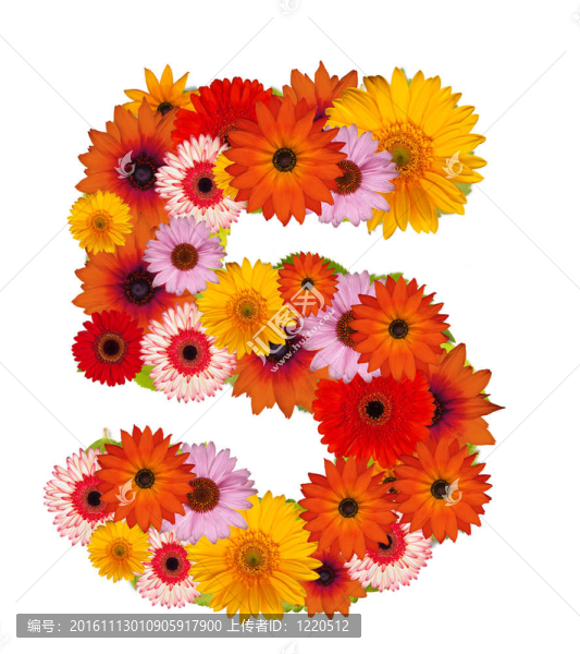 花數(shù)