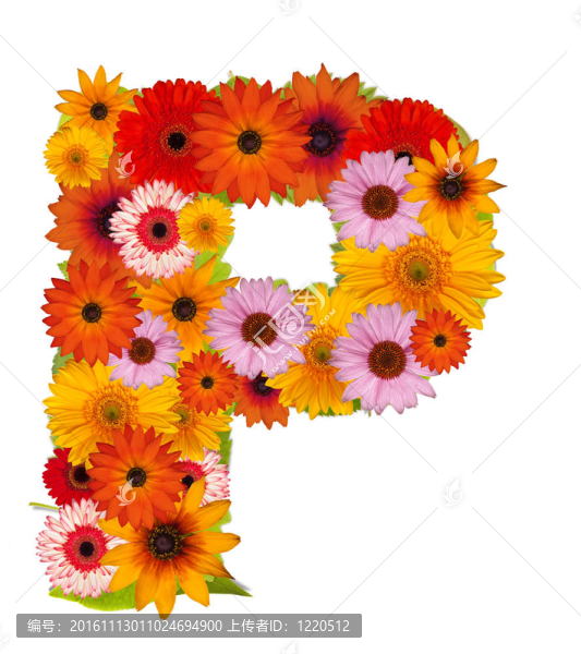 花的信