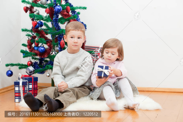 小孩子坐在一棵新年樹上