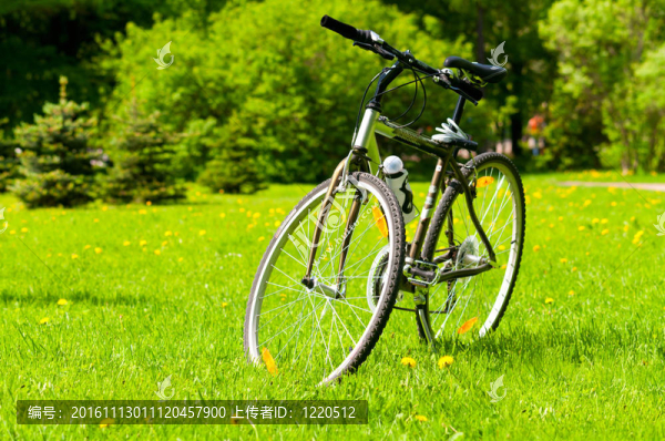 自行車(chē)在草地上
