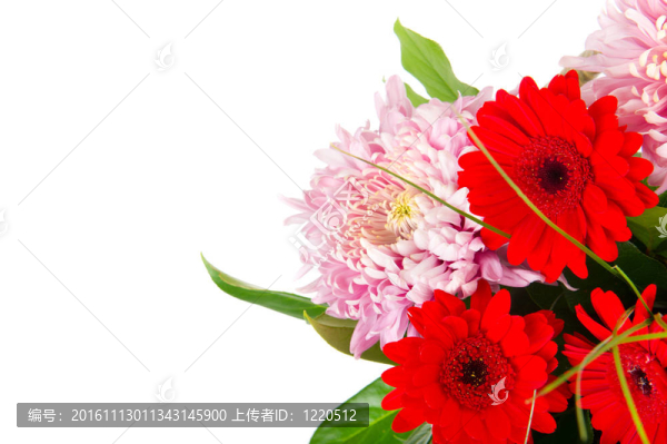秋天的花束-匯圖網(wǎng) www.fosd68.com 秋天的花束