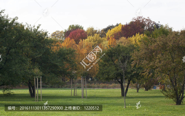 多彩的秋天景色