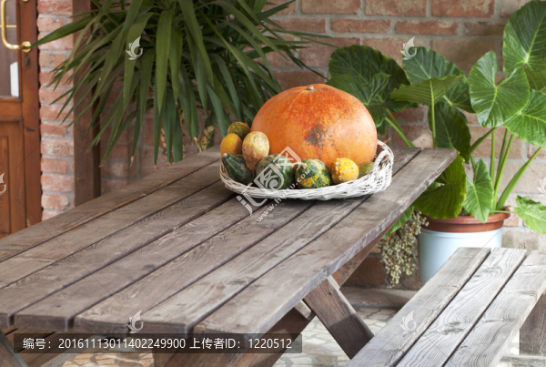 農(nóng)事節(jié)日裝飾品