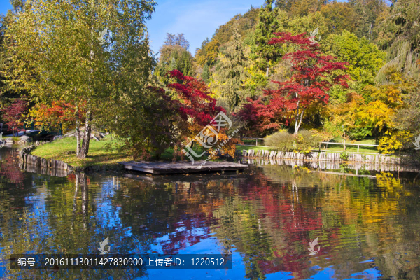 秋天的風景