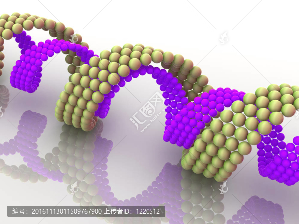 基因在DNA