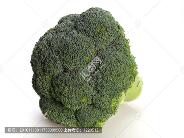 白色背景上的花椰菜頭