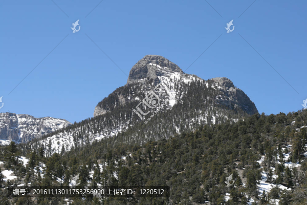 春山內(nèi)華達州