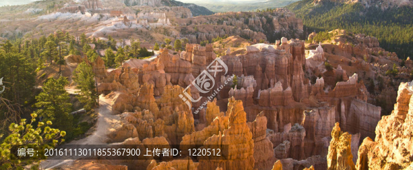 美麗的風(fēng)景在布賴斯峽谷壯麗的石形成