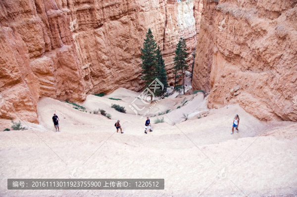 美麗的風景在布賴斯峽谷壯麗的石形成