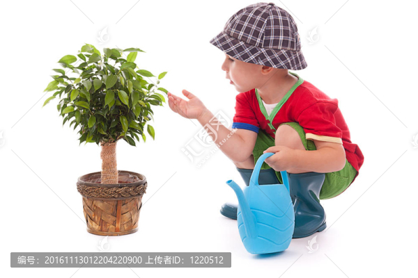 小花匠的男孩
