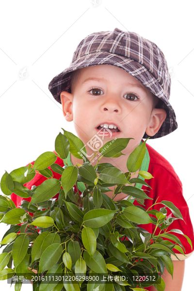 小花匠的男孩
