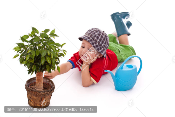 小花匠的男孩