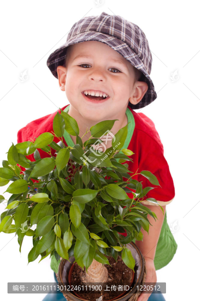 小花匠的男孩