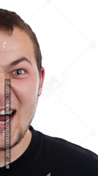 一個年輕人的惡意畫像