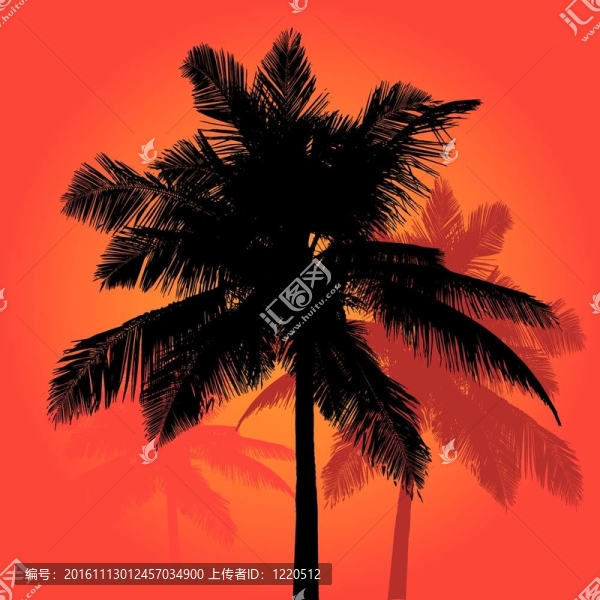 棕櫚樹夕陽剪影三重奏