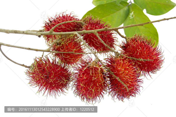 一堆紅毛丹