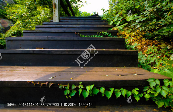 戶外木樓梯