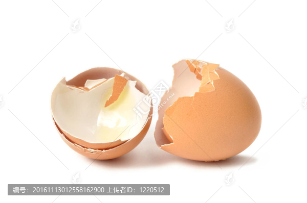 蛋殼