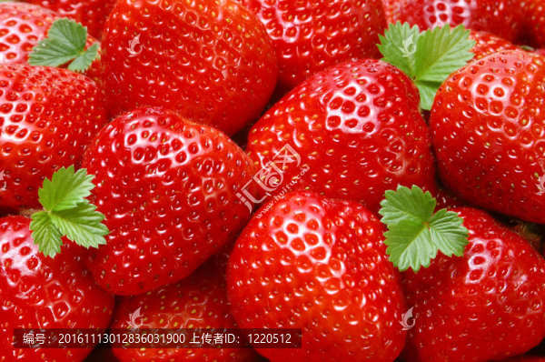starwberry特寫(xiě)