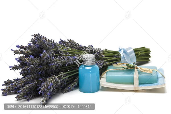 薰衣草；凝膠和肥皂。
