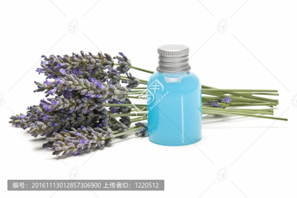 薰衣草凝膠。
