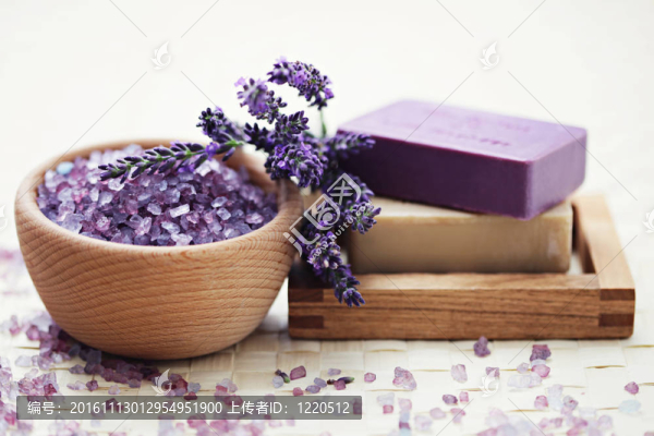薰衣草的美麗