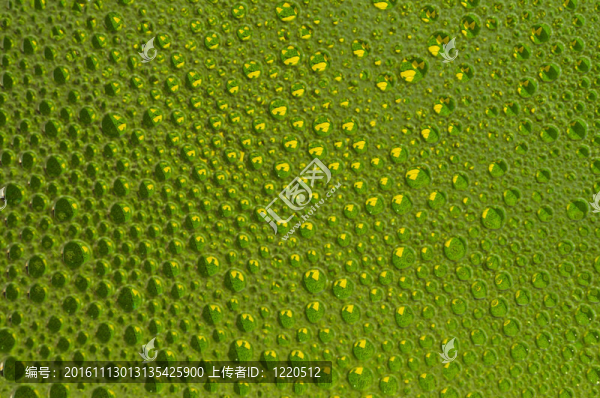 摘要綠色與黃色氣泡設計