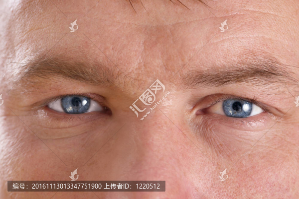 人的臉