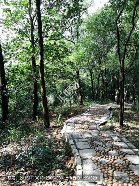 筆架山山路