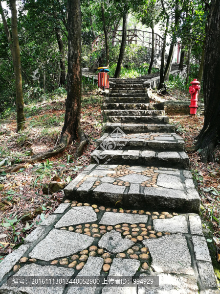 登山路