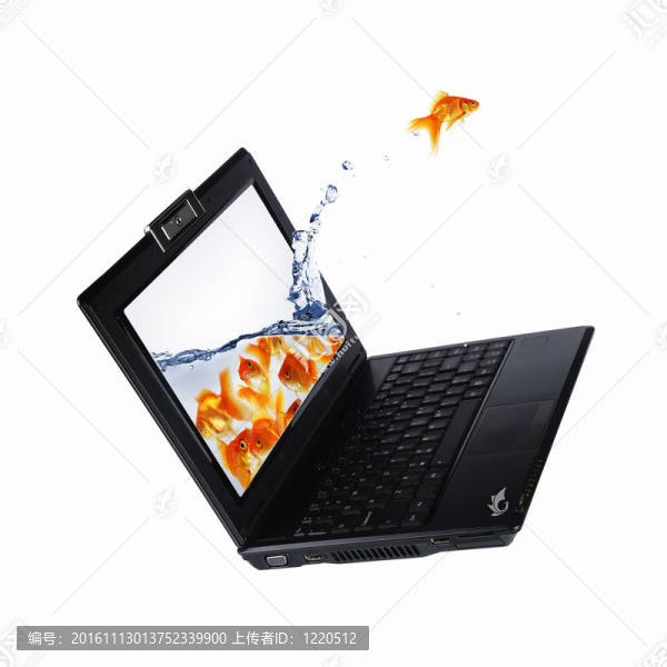 筆記本屏幕上的金魚