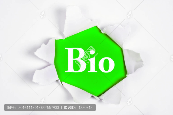 生物在紙