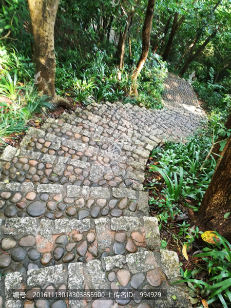 登山階梯