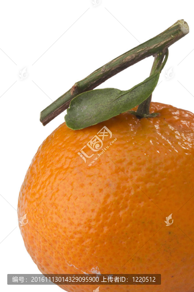 橙色的Tangerine夜店