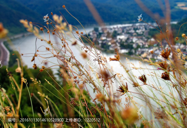 德國美麗的萊茵河景。