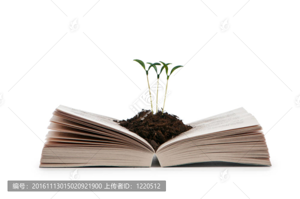 圖書與苗木知識觀