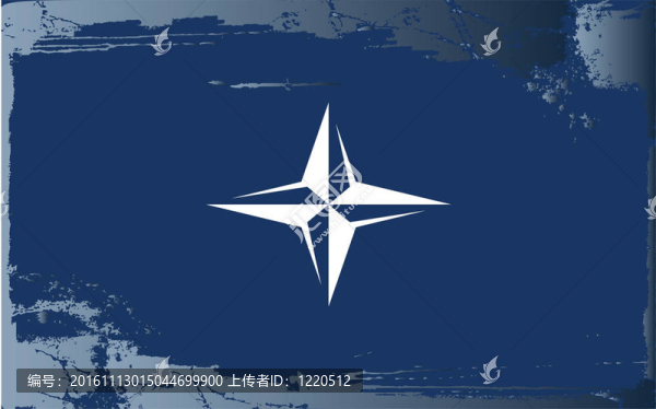 垃圾旗系列北約