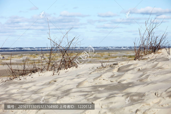 海邊的沙丘和海灘