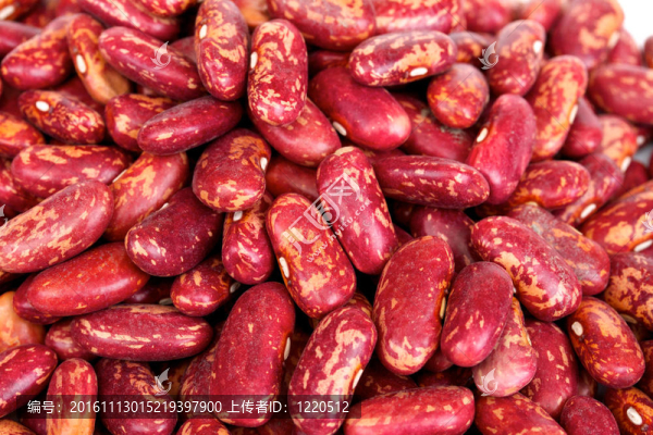 白色背景上的干豆-匯圖網(wǎng) www.fosd68.com 白色背景上的干豆