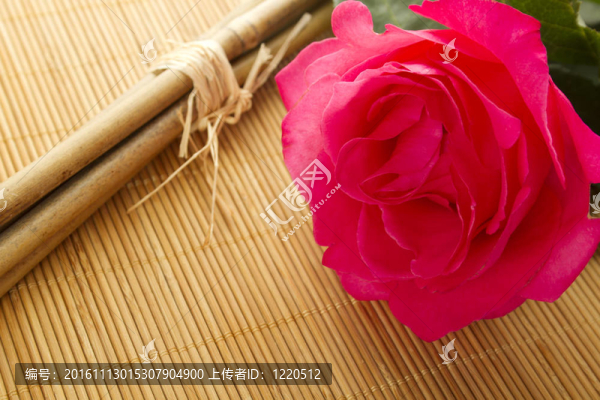 紅玫瑰