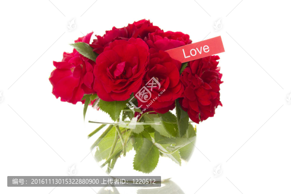 一束玫瑰花
