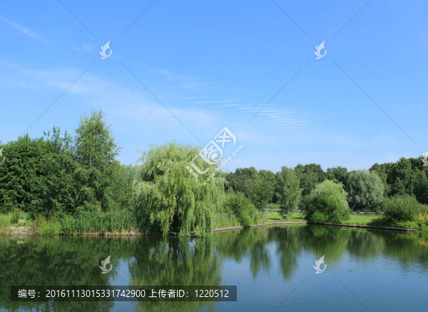 景觀
