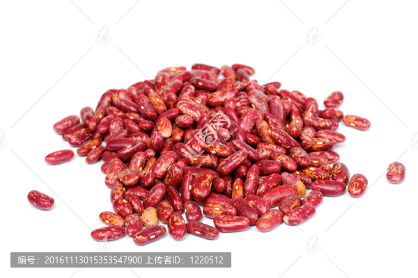 白色背景上的干豆
