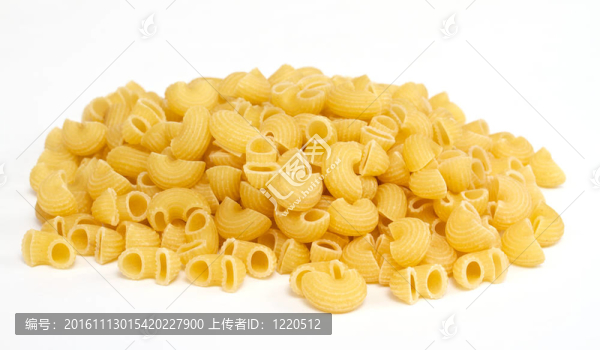 白色背景意大利意大利面食的特寫